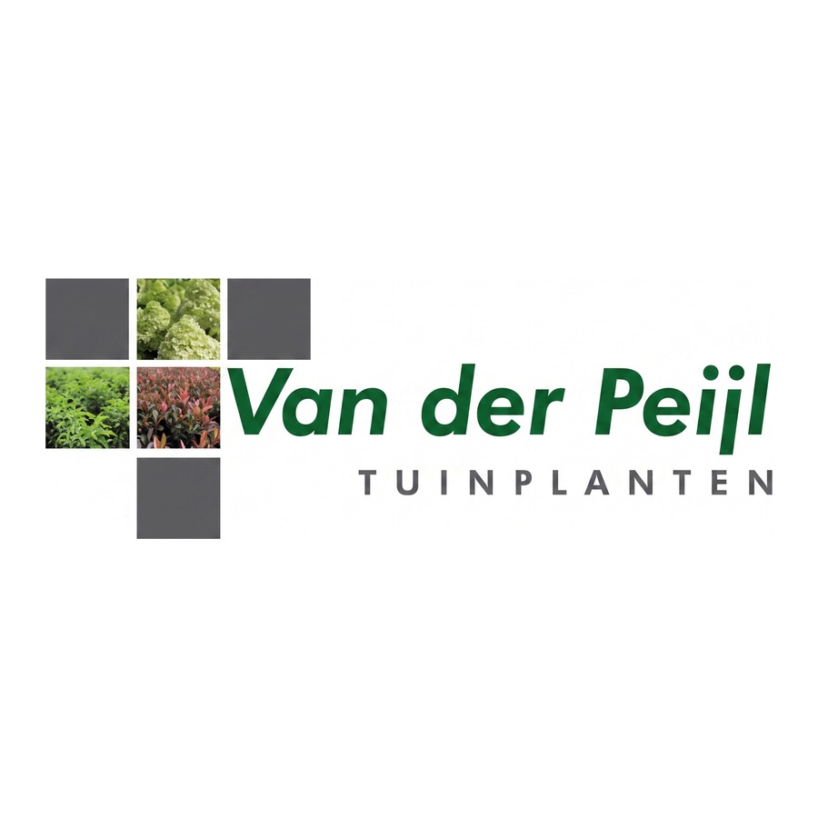 vd Peijl Tuinplanten